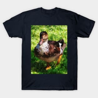 Birds - Duck With Attitude T-Shirt